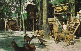 Florida Silver Springs Florida Frontier 1962 - Silver Springs