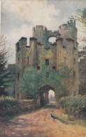 C1900 WARWICK CASTLE - RAWBRIDGE - Warwick