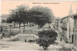 Carte Postale Ancienne De MONTAGNAC - Montagnac