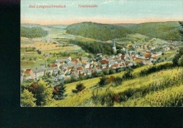 Litho Bad Langenschwalbach 1919 Totalansicht Wohnhäuser Ludwig Feist 6261 - Bad Schwalbach