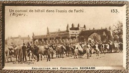 CHOCOLAT SUCHARD : IMAGE N° 153 . UN CONVOI DE BETAIL DANS L'OASIS DE FACHI . NIGER . - Suchard