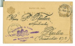 HONGARIJE * HANDGESCHREVEN BRIEFKAART Uit 1896 * GELOPEN VAN BUDAPEST Naar BERLIN  (7882) - Ganzsachen