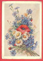 132939 / Flora Flore 1953 ? Flower Fleur Blüte Papaver Poppy Mohn Pavot  DOMASCHENSKO Stationery Entier Russia Russie - 1950-59