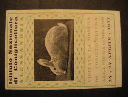 Milano 1927 Alessandria Rabbit Rabbits Farm Agriculture Food Italy Poster Stamp Label Vignette Viñeta Cinderella - Conejos