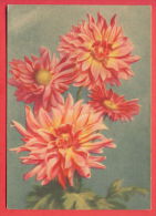 132943 / Flora Flore 1957 Flower Fleur Blüte Dahlia Dahlien Aster Astern / Stationery Entier / Russia Russie - 1950-59