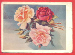 132953 / Flora Flore 1959 Flower Fleur Blüte Rose Rosier Rosa Rosen By LEBEDEV / Stationery Entier / Russia Russie - 1950-59