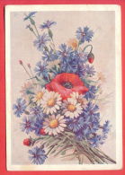 132959 / Flora Flore 1963 Flower Fleur Blüte Matricaria Poppy Mohn Pavot DOMASCHENSKO Stationery Entier Russia Russie - 1960-69