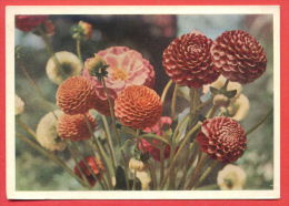 132964 / Flora Flore 1966 Flower Fleur Blüte  / Stationery Entier Ganzsachen  / Russia Russie Russland Rusland - 1960-69