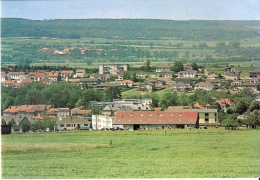 BOULAY 57 - Vue Générale - 10356 - W-5 - Boulay Moselle