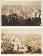 Lot Of 4 Different Views Of Grand Canyon On C1910s Vintage Real Photo Postcards - USA National Parks