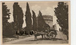 ITALIE : Roma , Tomba Ci Cecilia Mettela ( Attelege Tombereau) - Transportes