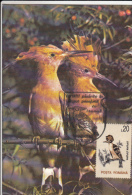 HOOPOE, CM, MAXICARD, CARTES MAXIMUM, 1993, ROMANIA - Picchio & Uccelli Scalatori