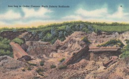 C1950 IRON LOG IN CEDAR CANYON NORTH DAKOTA BADLANDS - Autres & Non Classés