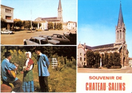 SOUVENIR DE CHATEAU SALINS 57 - Multivues- VM 513 - W-6 - Chateau Salins