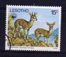Lesotho - 1977 - 15 Cents Endangered Species/ Klipspringer - Used - Lesotho (1966-...)