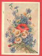 133195 / Flora Flore 1955 Flower Fleur Blüte Papaver Poppy Mohn Pavot By DOMASCHENSKO Stationery Entier Russia Russie - 1950-59