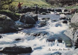 Cp , SPORTS , PÊCHE , Le Coin Des Truites - Pêche