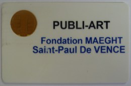 FRANCE - Telemediacartes S.A - Publi-Art - Test / Demo Smart Card - Bull - Interne Telefoonkaarten