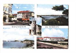 11 SIGEAN Multivue, Souvenir, Place, Etang, Ed APA 1, CPSM 10x15, 1969 - Sigean