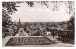 ALLEMAGNE  HILDESHEIM  Blick Vom Bergholzchen Auf Die Mittelallee - Hildesheim