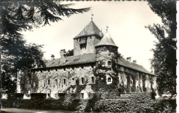 CPA 74 Sciez - Le Chateau De Coudrée - Sciez