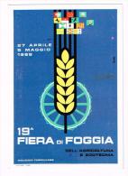 E2879 Cartolina Pubblicitaria Della 19° Fiera Di Foggia - Probabile Riproduzione / Non Viaggiata - Autres & Non Classés