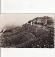 BECH-KLEINMACHER/REMICH (Luxembourg) Les Vignobles Du "Hebierg"-VIN-Affranchissement-Timbre-DOCU Photo-2 SCANS - - Autres & Non Classés