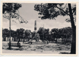 MANFREDONIA (FOGGIA) MONUMENTO AI CADUTI 1960 - Manfredonia