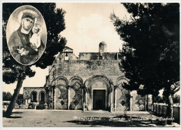 MANFREDONIA (FOGGIA) IL SANTUARIO DI SIPONTO 1959 - Manfredonia