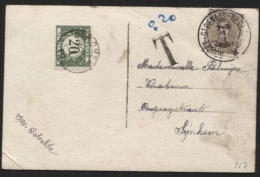 TAXE 20c Obl. SYNGHEM S/carte Postale De BOUCLE ST DENIJS NEDERSWALM 1921 (367) - Brieven En Documenten