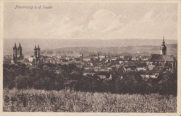 CPA NAUMBURG- PANORAMA - Naumburg (Saale)