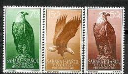 Spain Sahara Edifil # 139/141 ** MNH Set Aves / Birds - Spanische Sahara