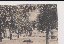 CAZALS  Un Coin De La Place Des Platanes - Cazals