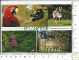 CPM, MUZILLAC: Parc De Branféré, Animaux Et Château - Muzillac