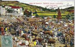 ESPAGNE - FERIA DE GANADO  - TEROR - GRAN CANARIA - LAS PALMAS - La Palma