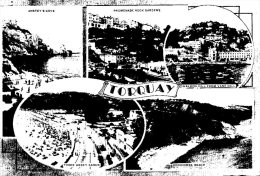 (909) Very Old Postcard - Carte Ancienne - UK - Torquay - Torquay