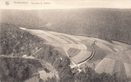 Herbeumont - Vue Prise Du Château - Herbeumont