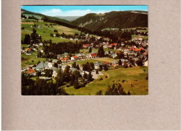 AK Hinterzarten Gel.1980 Mit Ortswerbestempel 2 Bilder - Hinterzarten