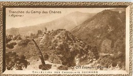 CHOCOLAT SUCHARD : IMAGE N° 8 . TRANCHEE DU CAMP DES CHÊNES . ALGERIE . - Suchard