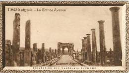 CHOCOLAT SUCHARD : IMAGE N° 21 . TIMGAD . LA GRANDE AVENUE . ALGERIE . - Suchard