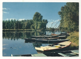 Seiche-sur-le-Loir (49) : Le Port Aux Barques Sur Le Loir En 1977. - Seiches Sur Le Loir