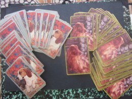 Jeu De Cartes à Jouer (2 Jeux 54 X 2 = étui )Thème Des Chiens De Chasse:Setter Et >CHIENS > Faire Défiler Les Photos - 54 Cartes