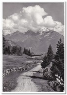 Zwitserland Lenzerheide Ruckblick Vom Wege Nach Tgantieni - Lantsch/Lenz