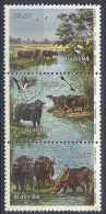 130606111  BRASIL  YVERT   Nº  1668A  **  MNH - Unused Stamps