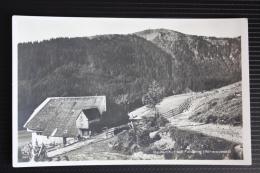 Raimartihof Mit Feldberg ( Schwarzwald ) - Feldberg