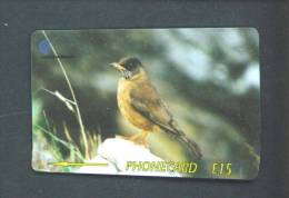 FALKLAND ISLANDS  -  Magnetic Phonecard As Scan (339CFKC) - Falkland Islands