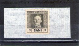 1917 - OCCUP. AUSTRO-HONGROISE EN ROUMANIE  Mi Et Yv No 18 MNH - Occupazione