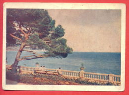 133374 / Yalta - UKRAINE Resort City In Crimea 1954 SEAL / Stationery Entier / Russia Russie - 1950-59