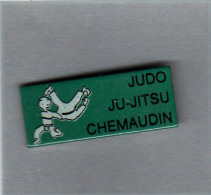 Pin´s  Sport   JUDO  JU-JITSU  à  CHEMAUDIN  ( 25 )  Vert - Judo