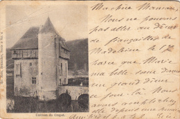 Château De Crupet, 1901, Nels Série 2, N° 6 - Assesse
